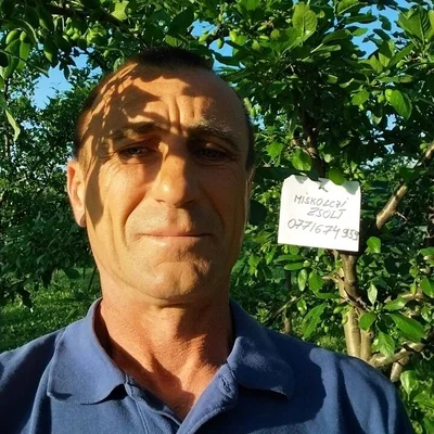 Zsolt