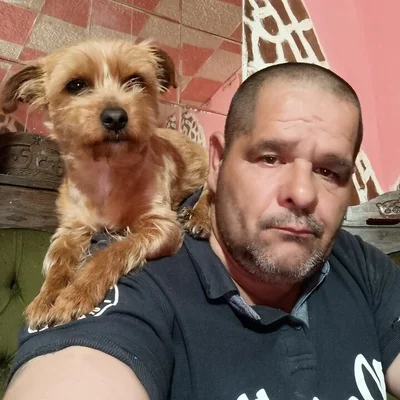 Gyula