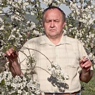 Mihaly, Marosvásárhely