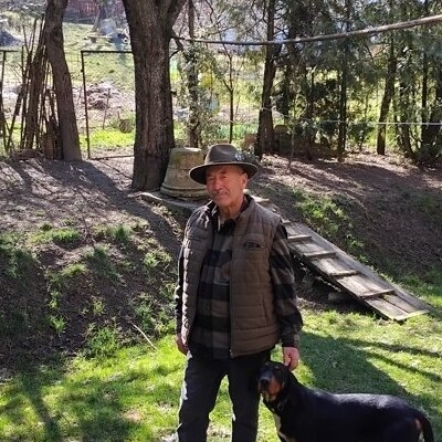 Laci, társkereső Marosvásárhely