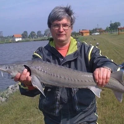 Tamás, Solymár