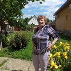 Nefelejcs, társkereső Veszprém