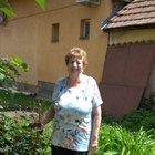 Nefelejcs, társkereső Veszprém