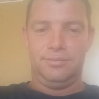 Arpad, Bécs