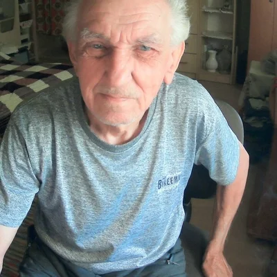 Gyula, Tatabánya