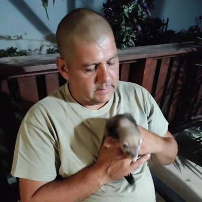 István, Vokány