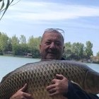 Ferenc, társkereső Budapest