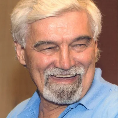 Jégtörő, Székesfehérvár