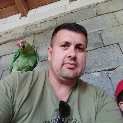 Ferenc, Perbete