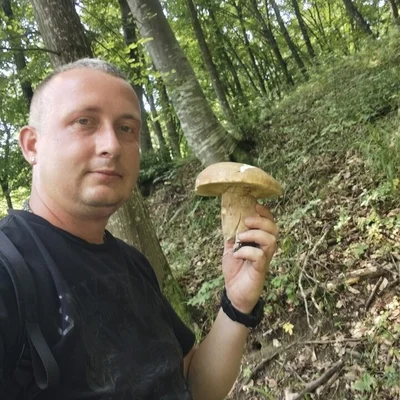 Ede