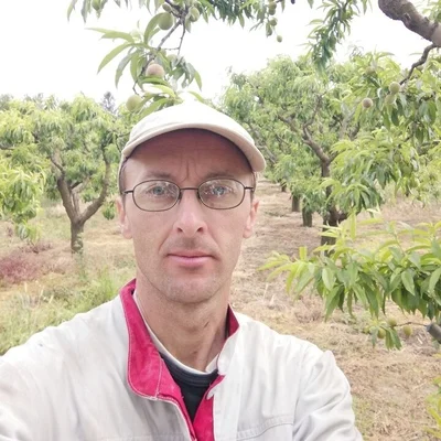 Robi, Eszék