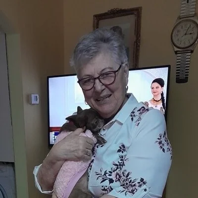 Emilia, Szatmárnémeti