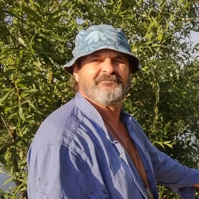 Gyula