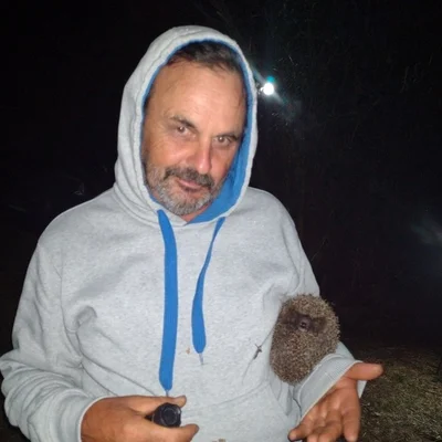 Gyula