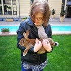 Ancsa, társkereső Budapest