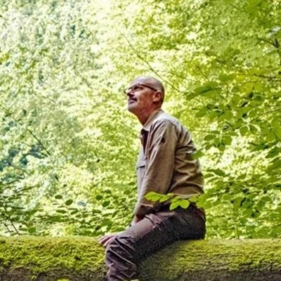 Gabesz, Dunakeszi
