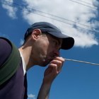 Laszlo, társkereső Dunaújváros