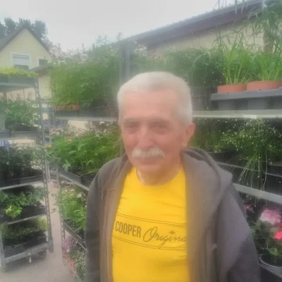 József, Dabas