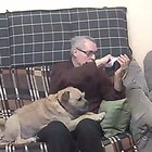 Jani, társkereső Szekszárd