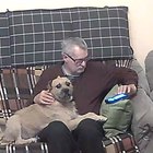 Jani, társkereső Szekszárd