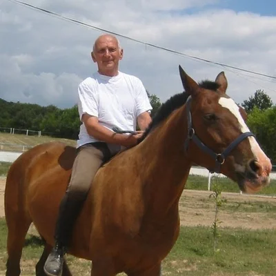 György