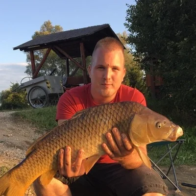 Tamás, Zalaegerszeg