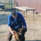 András, társkereső Kisvárda