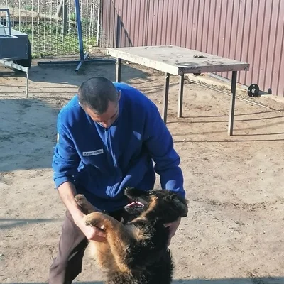 András