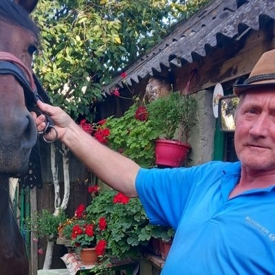 István, társkereső Székelyudvarhely