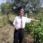 István, társkereső Kajászó