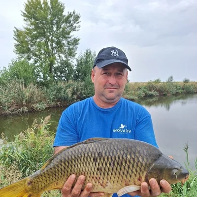 Szabi