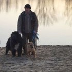 Gábor, társkereső Mindszent