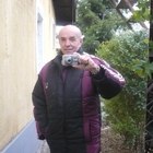 József, társkereső Jászberény