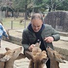 János, társkereső Eger