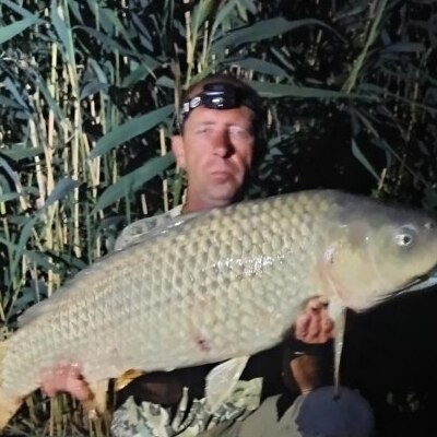 Tamás, társkereső Pécs