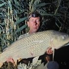 Tamás, társkereső Pécs