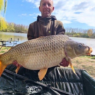 Tamás, társkereső Pécs