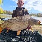 Tamás, társkereső Pécs