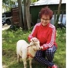 Judit, társkereső Mezőfalva