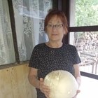 Judit, társkereső Mezőfalva