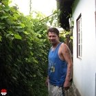 Levi, társkereső Marosvásárhely