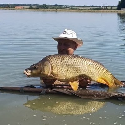 Viktor, társkereső Veszprém
