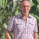 Attila, társkereső Veszprém