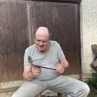 Ferenc, társkereső Pacsa