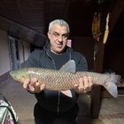 Miki, társkereső Szatmárnémeti