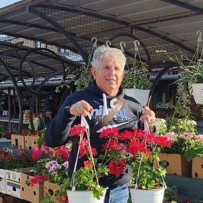 Tivadar