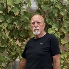 István, társkereső Szabadkígyós
