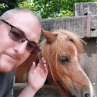 Tomi, társkereső Diósd