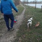 Gábor, társkereső Gárdony