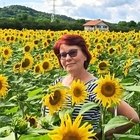 Tünde, társkereső Sepsiszentgyörgy